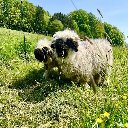 Apartamento Wohnen Am Penzkofergut *