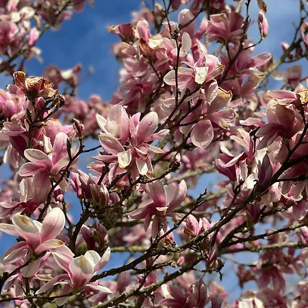 Apartamento Wohnen Am Penzkofergut Feichten
