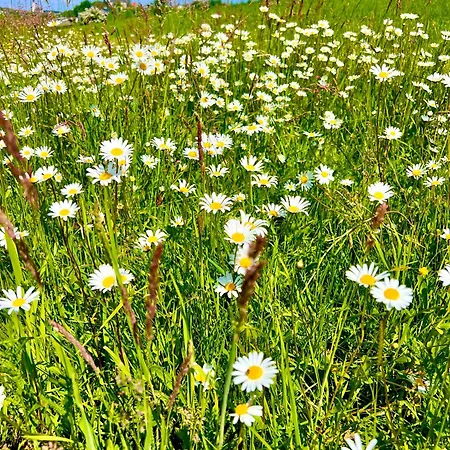 Apartamento Wohnen Am Penzkofergut *