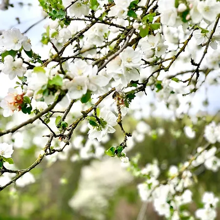 Wohnen Am Penzkofergut Apartamento *