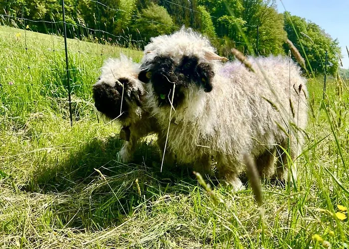 아파트 Wohnen Am Penzkofergut *