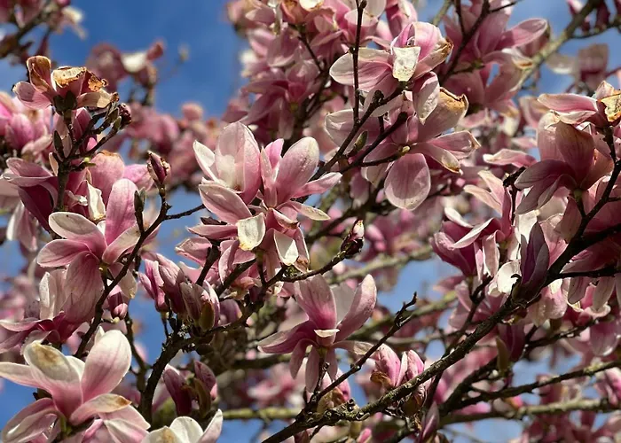 아파트 Wohnen Am Penzkofergut Feichten