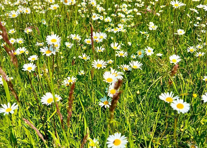 アパート Wohnen Am Penzkofergut *