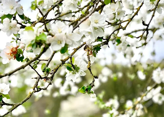 Wohnen Am Penzkofergut 아파트 *