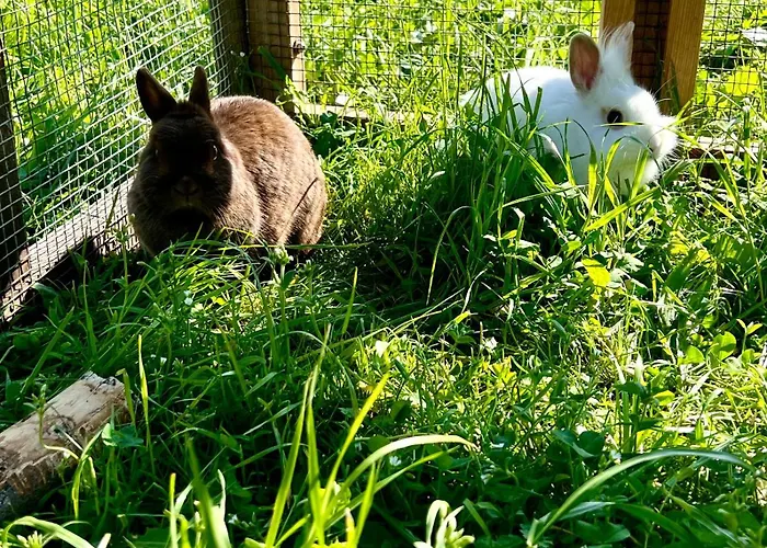 Wohnen Am Penzkofergut Appartement *